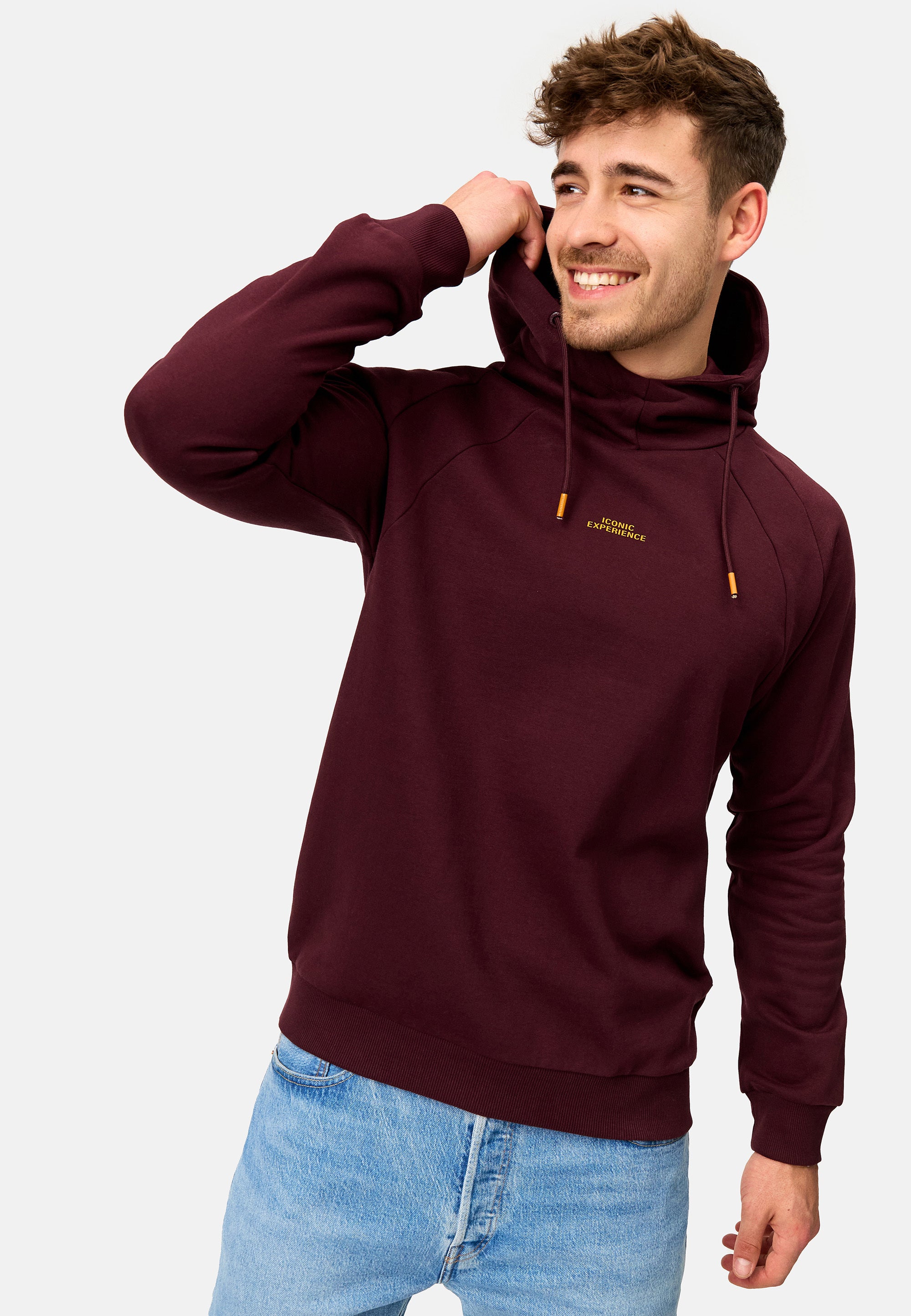 Kapuzenpullover INVir Produktbild