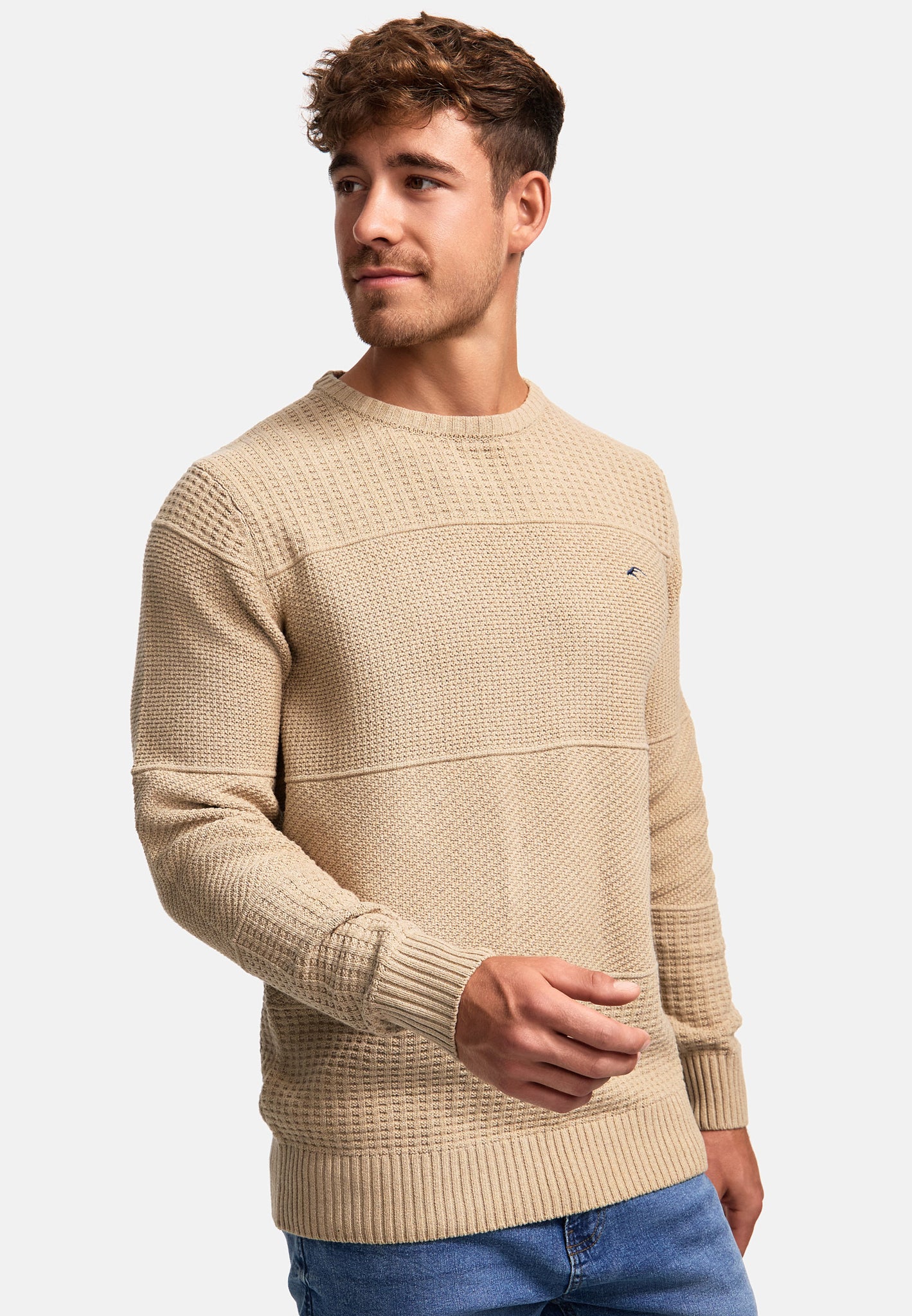 Strickpullover INJustice